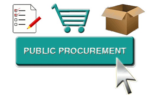 Transforming Public Procurement