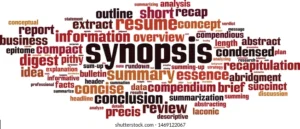 CCS Executive & Non Executive Framework Synopsis